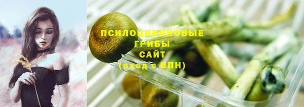 прущие крисы Беломорск