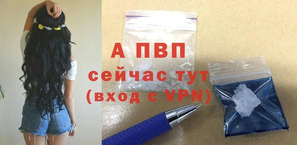 прущие крисы Беломорск