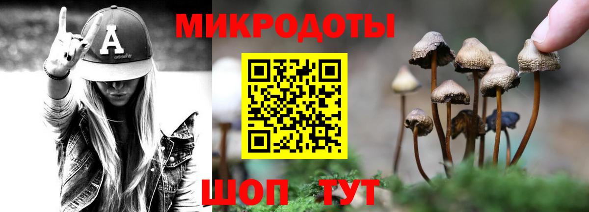 Галлюциногенные грибы GOLDEN TEACHER  Вход с VPN  где продают наркотики  Соль-Илецк 